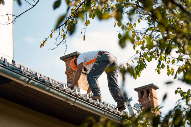 Best Roof Leak Repair  in Matteson, IL