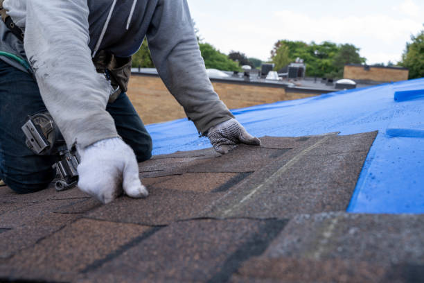 Best Residential Roofing Contractor  in Matteson, IL