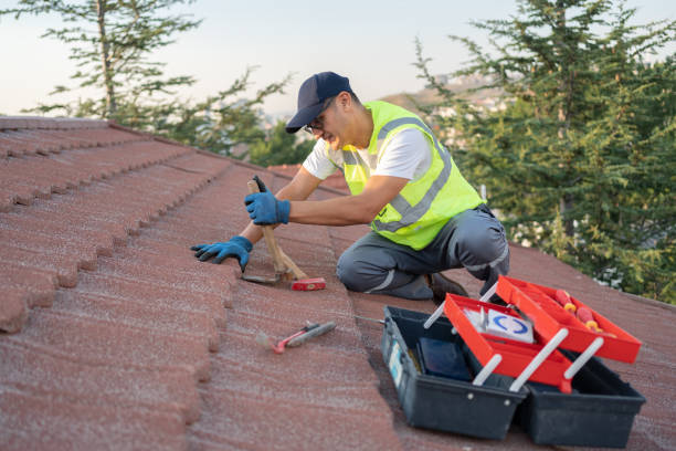 Best Roof Repair Services  in Matteson, IL